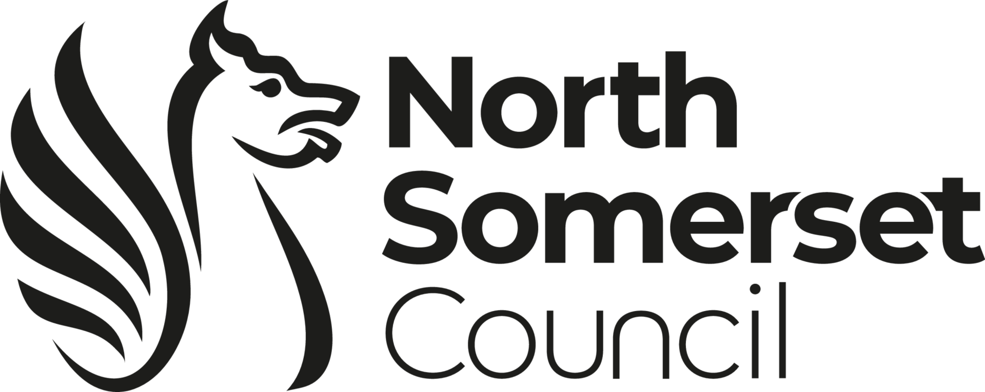 North Somerset Council logo new