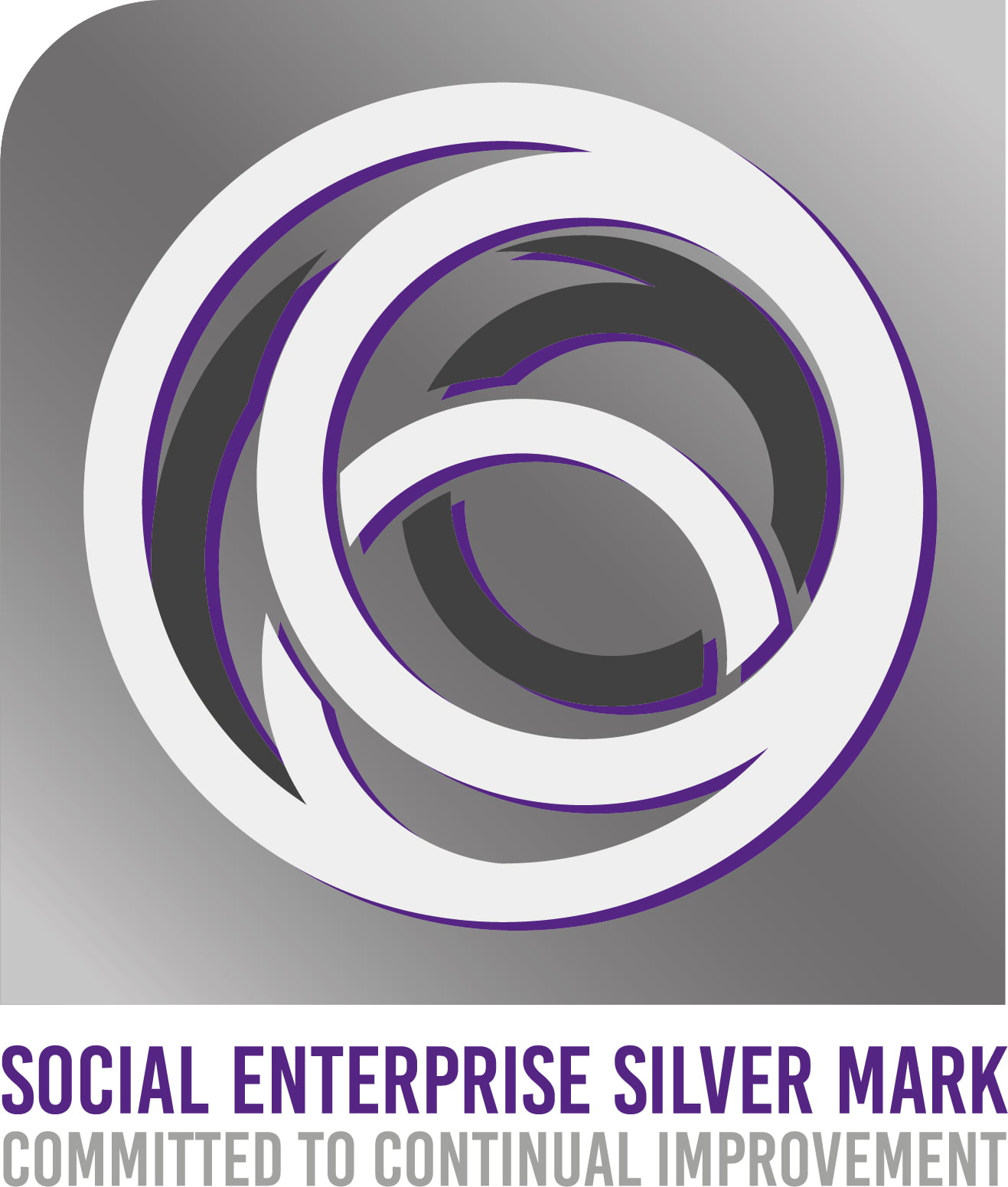 Social Enterprise Silver Mark