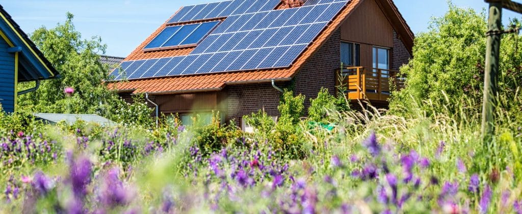view of a home with solar panels on the roof from a field of wildflowers