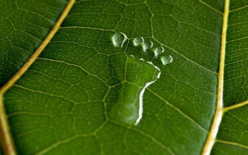 BLOG-Featured-Image-1-3