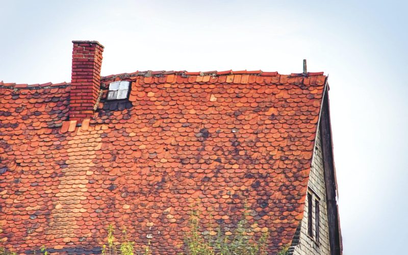Roof-2-scaled-1
