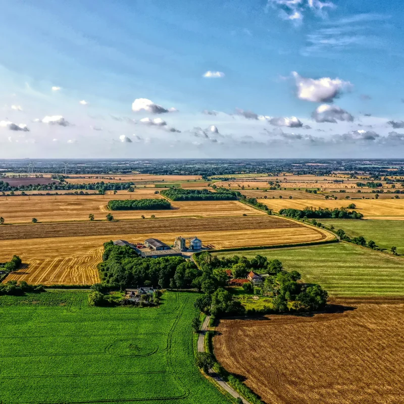 Suffolk Suffolk