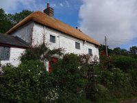 Thatched roof repairs Teignbridge