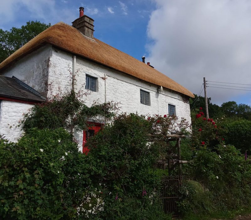 Thatched roof repairs Teignbridge