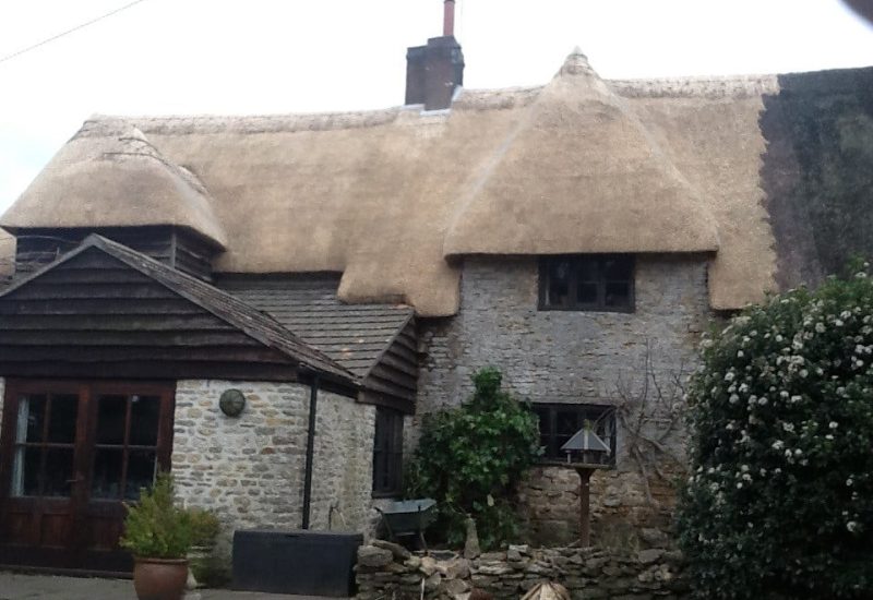 thatch