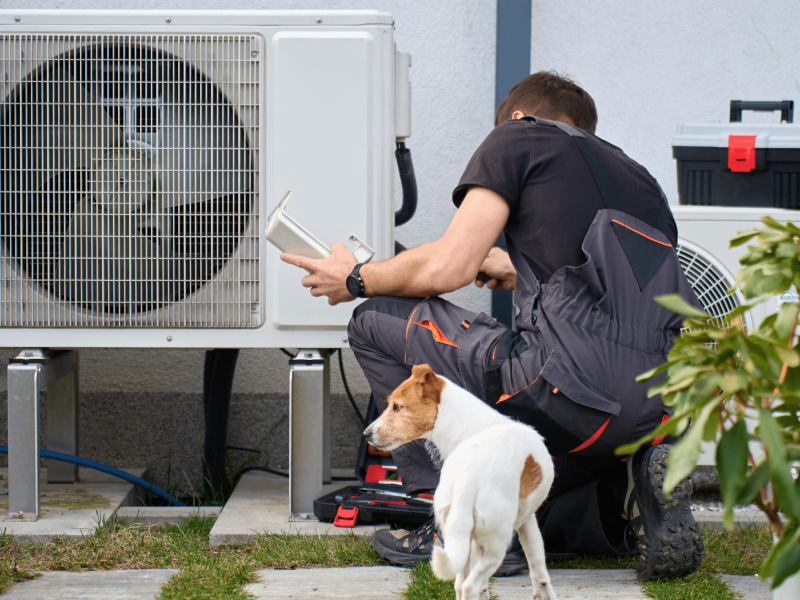 warm homes plan and homeowners